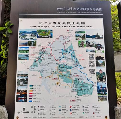 武汉养生宝地大揭秘！东湖漫步还有这些养生窍门你知道吗？