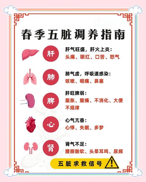 武汉调养门道全解析！饮食与运动养生要点大揭秘？