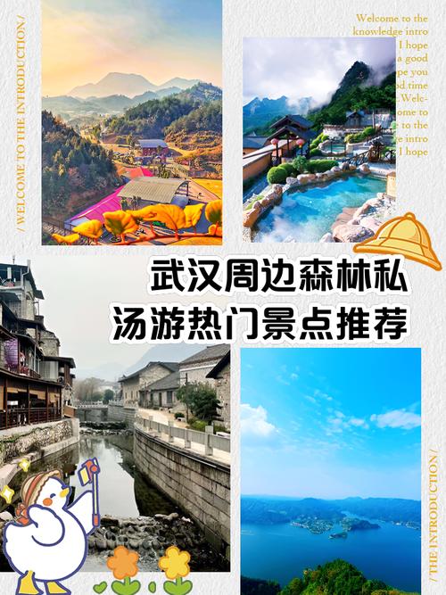 打算去武汉旅行或居住？洗桑拿好去处看这里，小林的见闻有启发