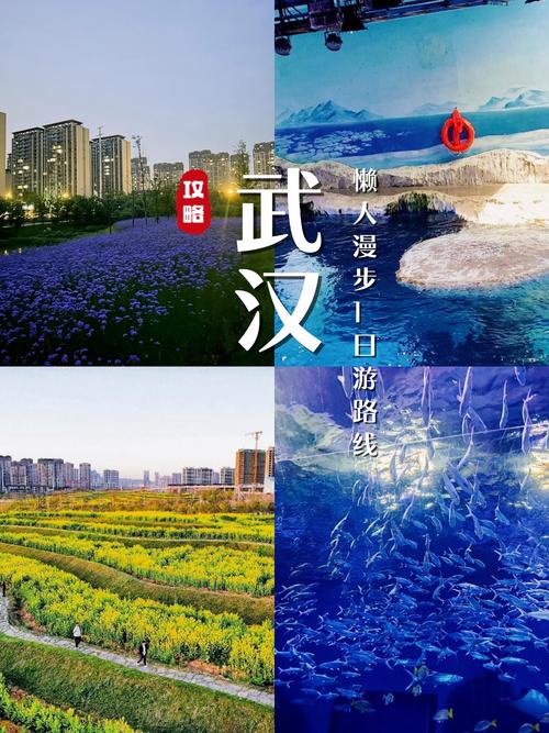 武汉养生怎么样_武汉养生sz网_武汉养生什么意思